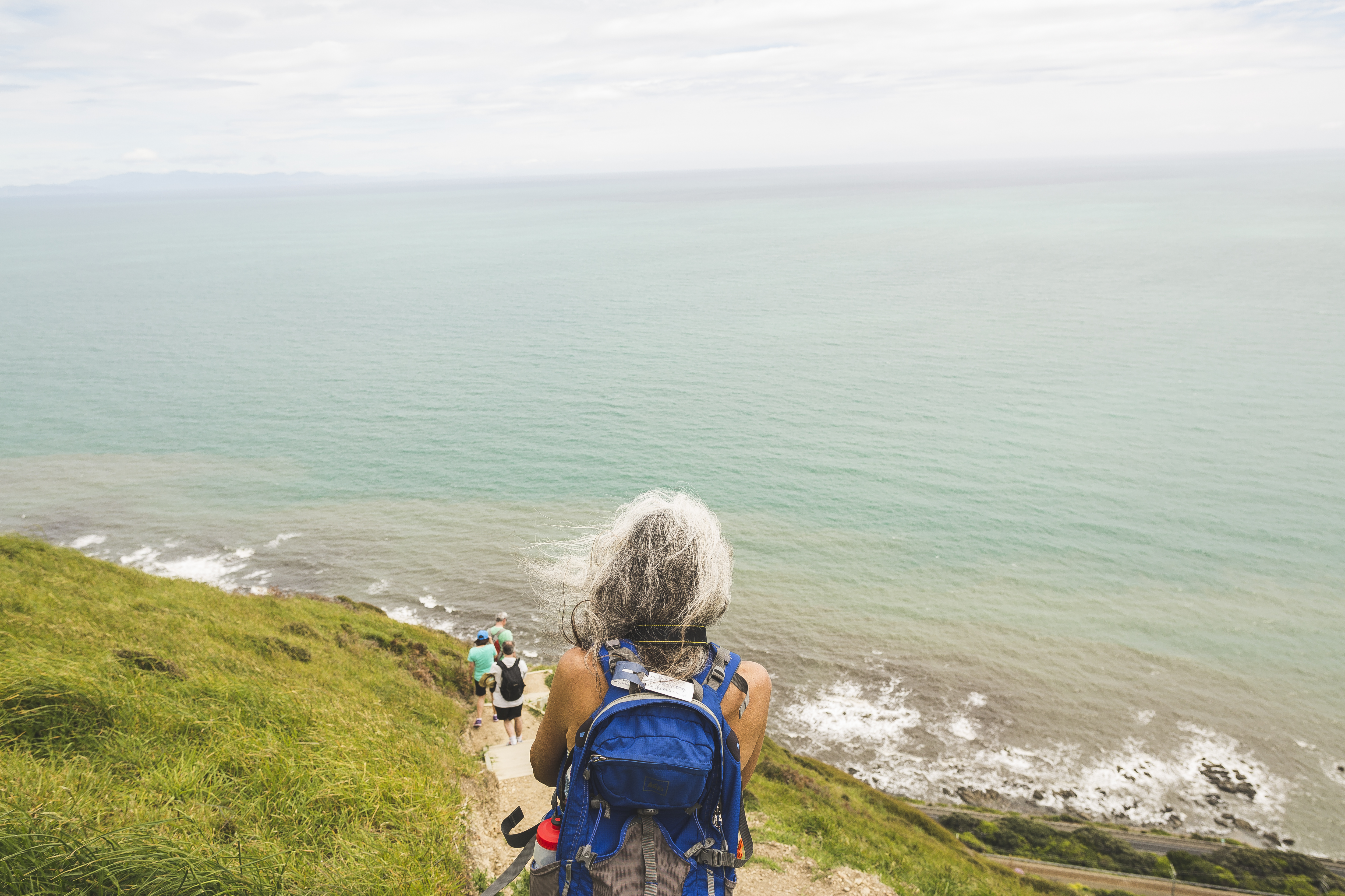 Paekakariki Escarpment - Daniel Walker CC2.0