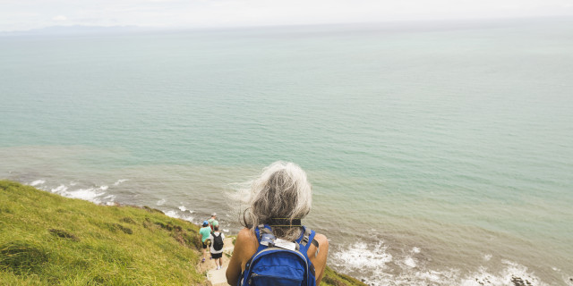 Paekakariki Escarpment - Daniel Walker CC2.0