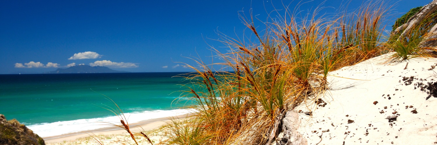 Pakiri Beach