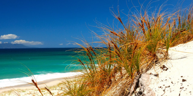 Pakiri Beach