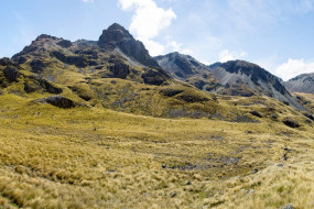 East Ahuriri Track - Top Of Pass