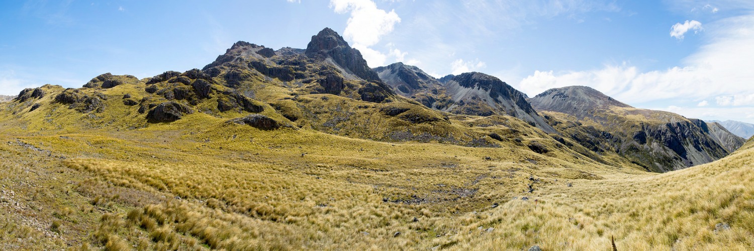 East Ahuriri Track