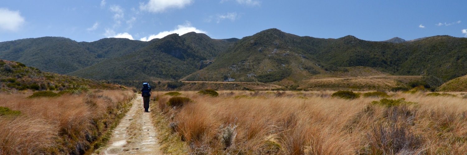 Gouland Downs
