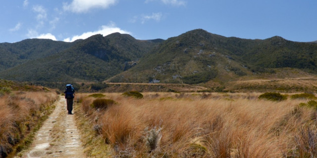 Gouland Downs