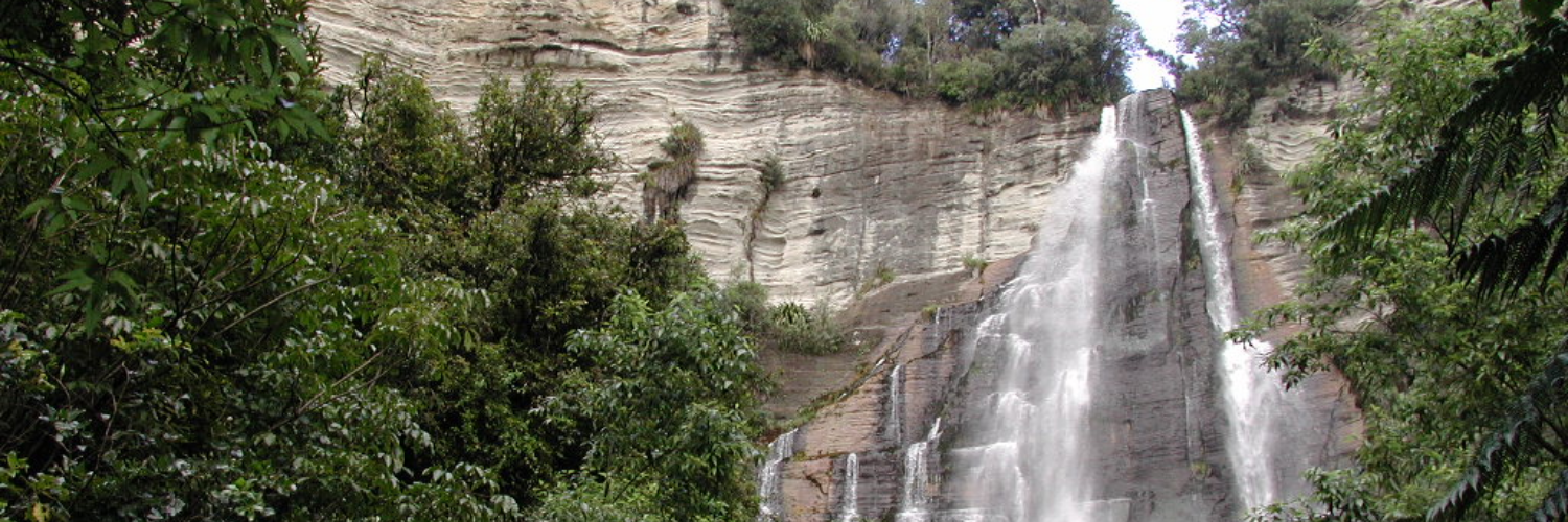 Boundary Stream Walk Shines Falls
