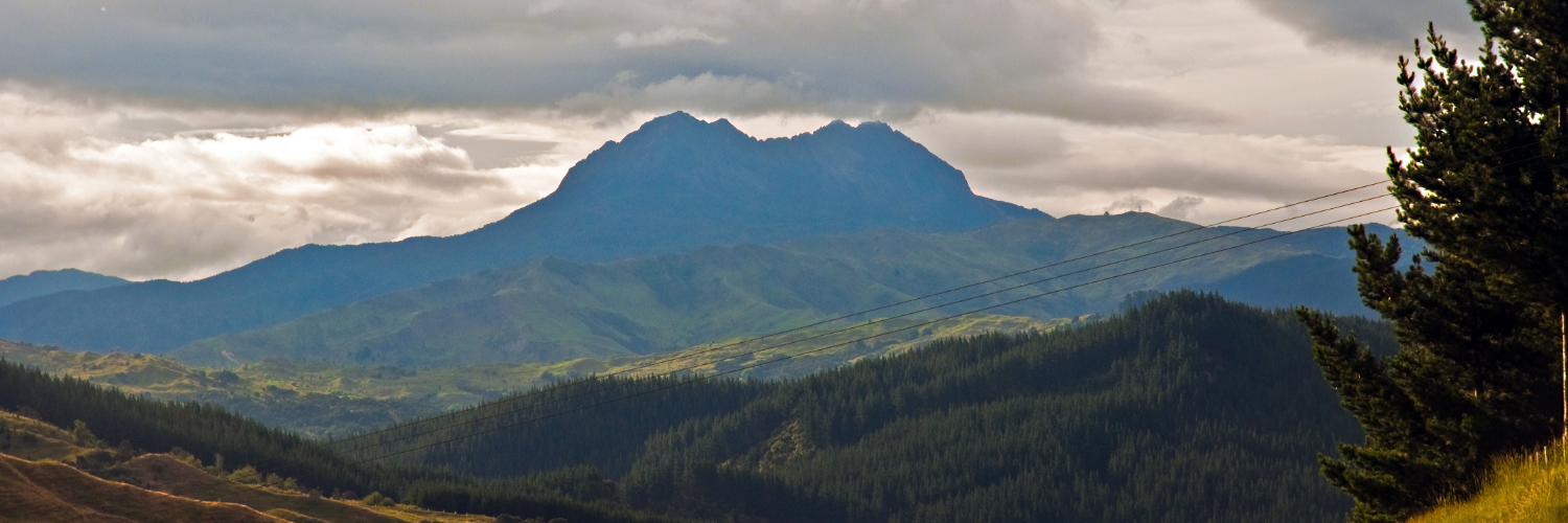 Te Ara ki Hikurangi