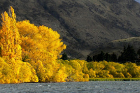 Lake Hayes