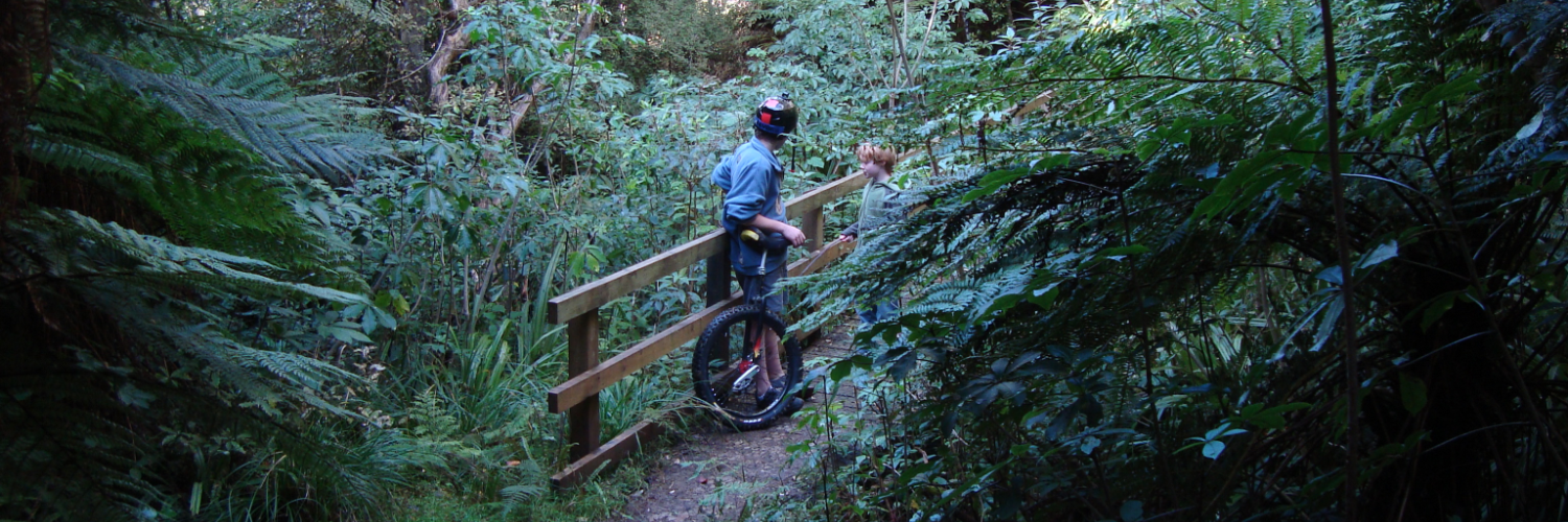 Grahams Bush Walk