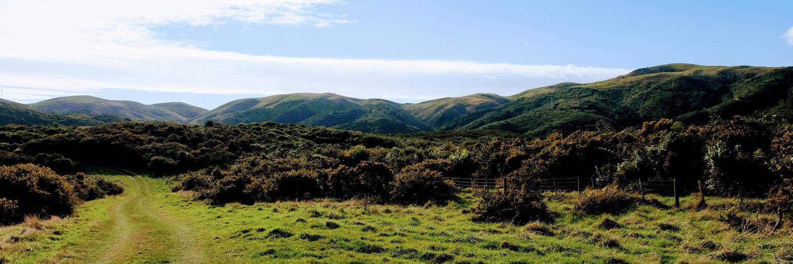 Boulder Hill Track