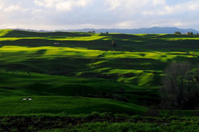 Greener than green / Te Kuiti