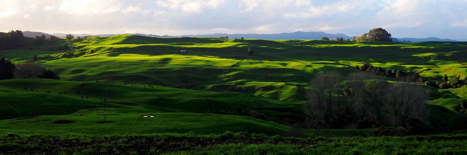 Te Kuiti