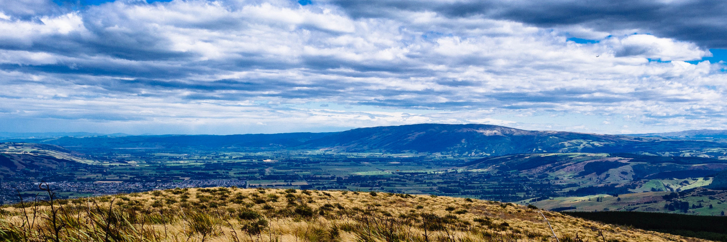 Flagstaff Dunedin
