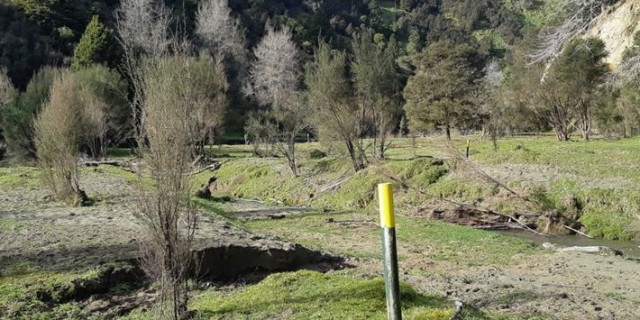 beehive creek walkway 1920 1