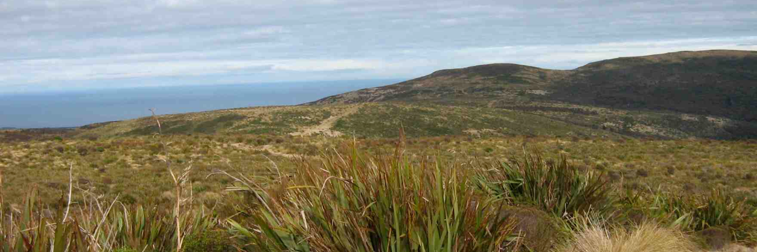 Swampy Ridge Track