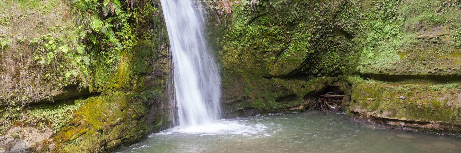 Tangoio Falls