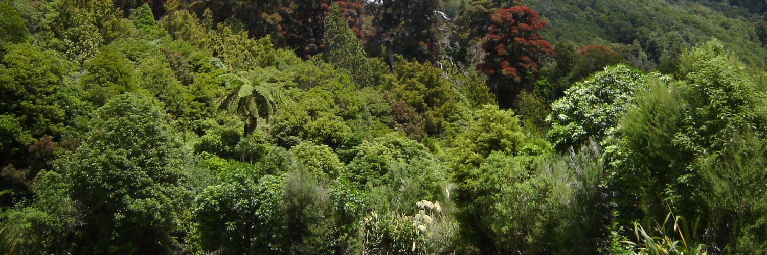 Kaitoke Regional Park v3