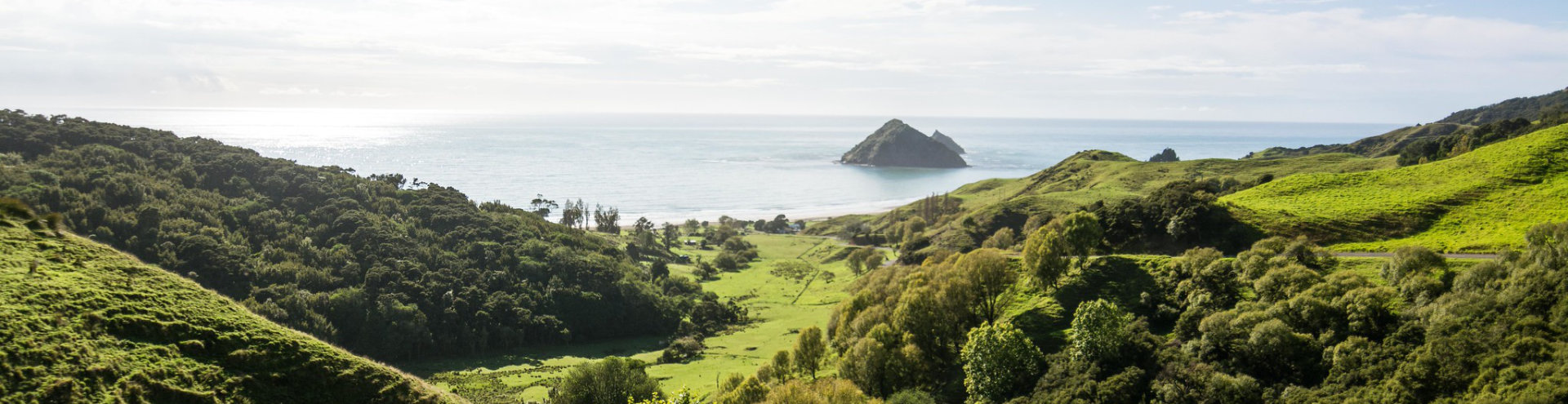 Anaura Bay Walkway