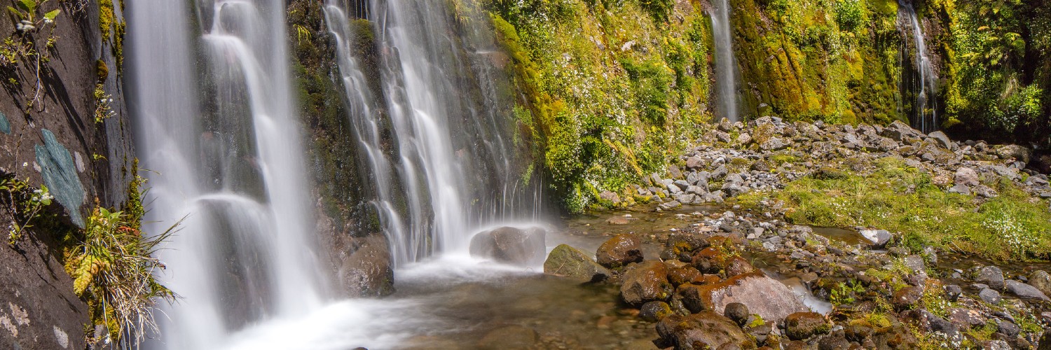 Curtis Falls Track Taranaki