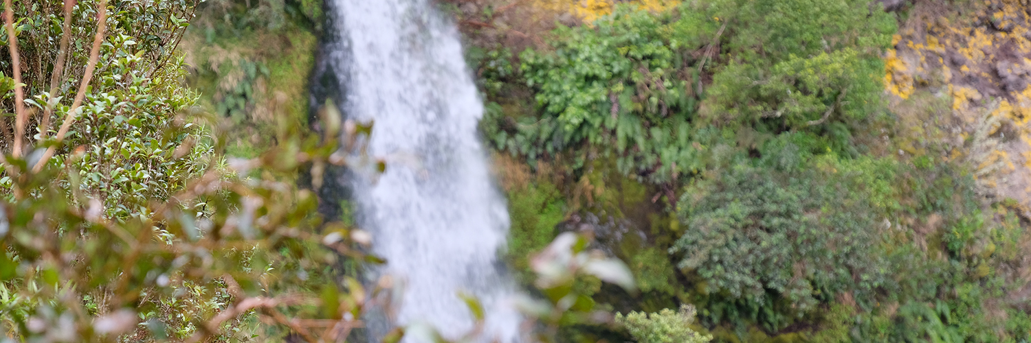 Dawson Falls header