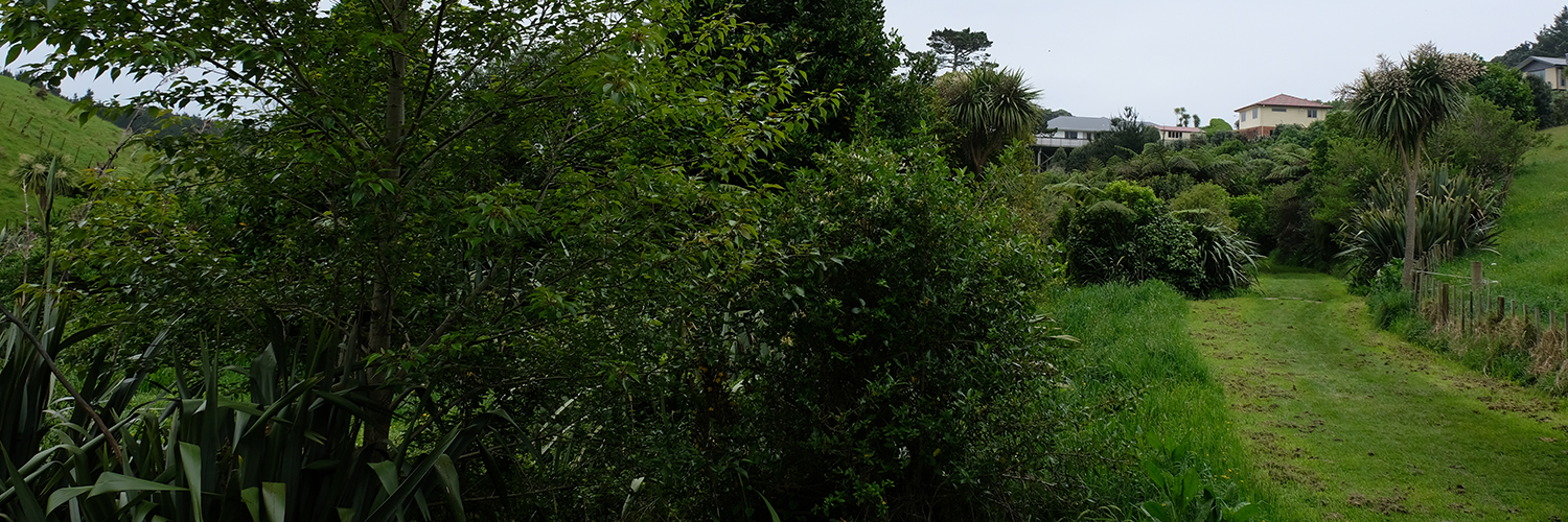 Herekawe Walkway hero