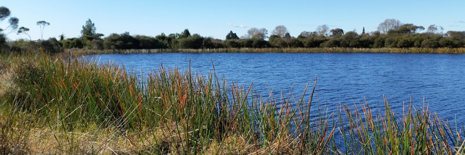 Lake Rotopiko