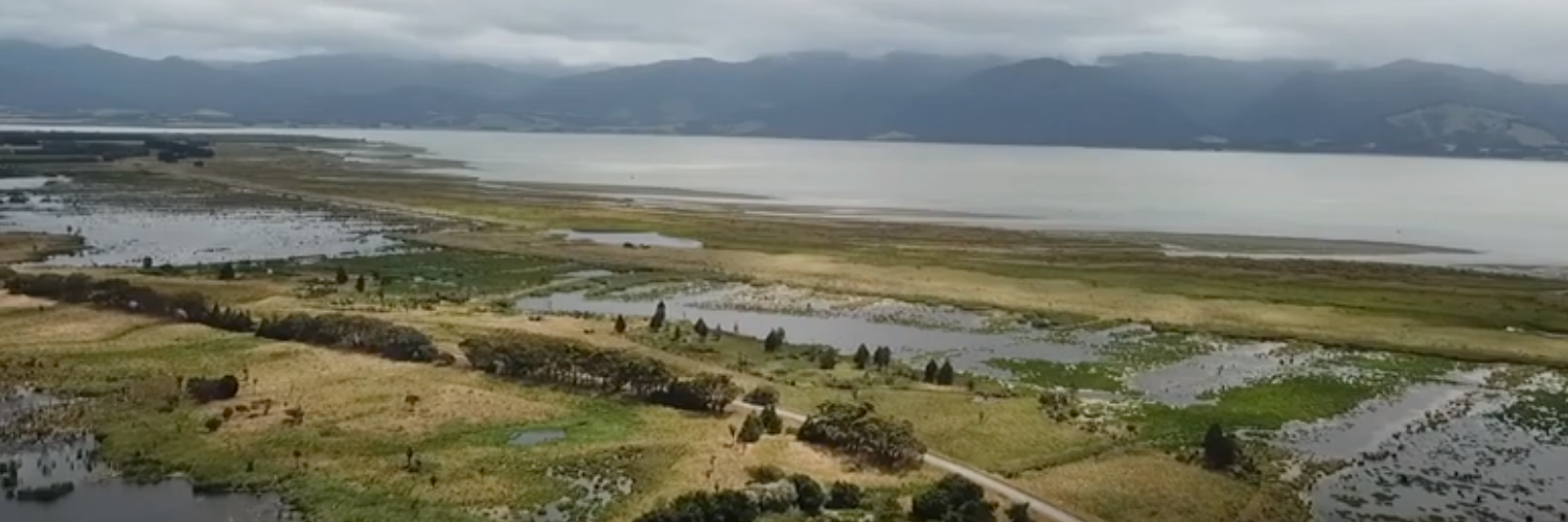 Lake Wairarapa and Boggy Pond