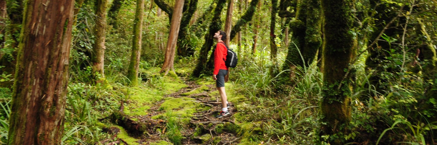 Ngatoro Loop