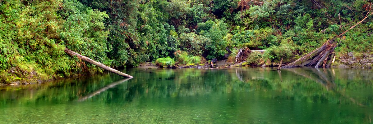Pelorus Bridge
