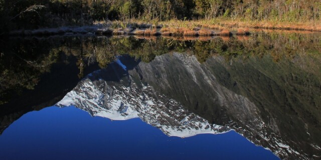 Peters pool