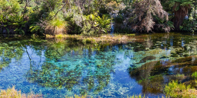 Pupu Springs