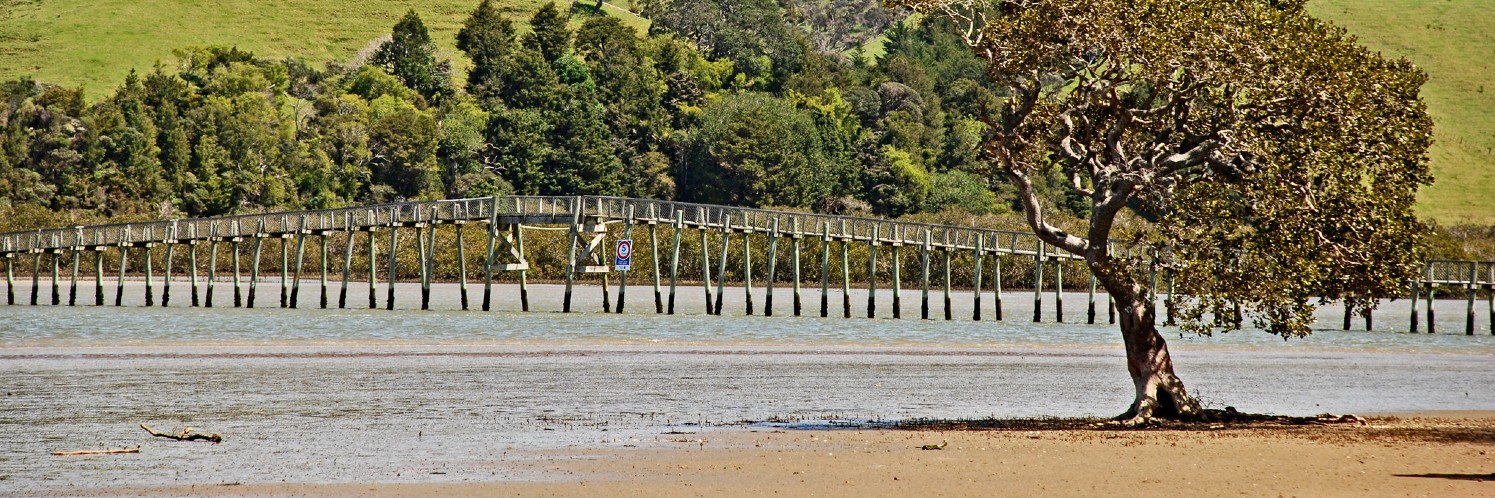 Whananaki Footbridge