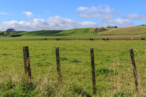 Tararua District