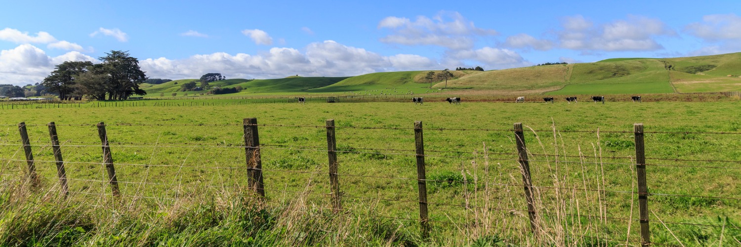 Paihiatua