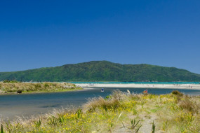 Kapiti Island