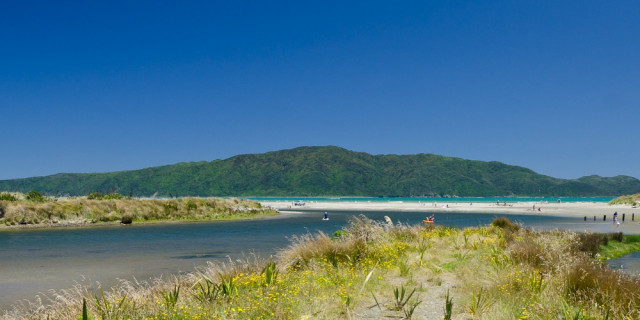 Kapiti