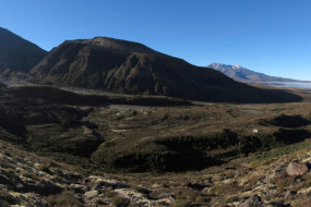 Neuseeland