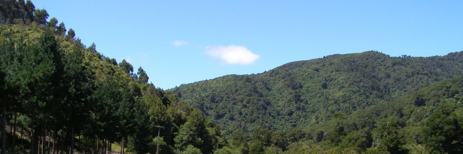 Maungakotukutuku Scenic Reserve 1