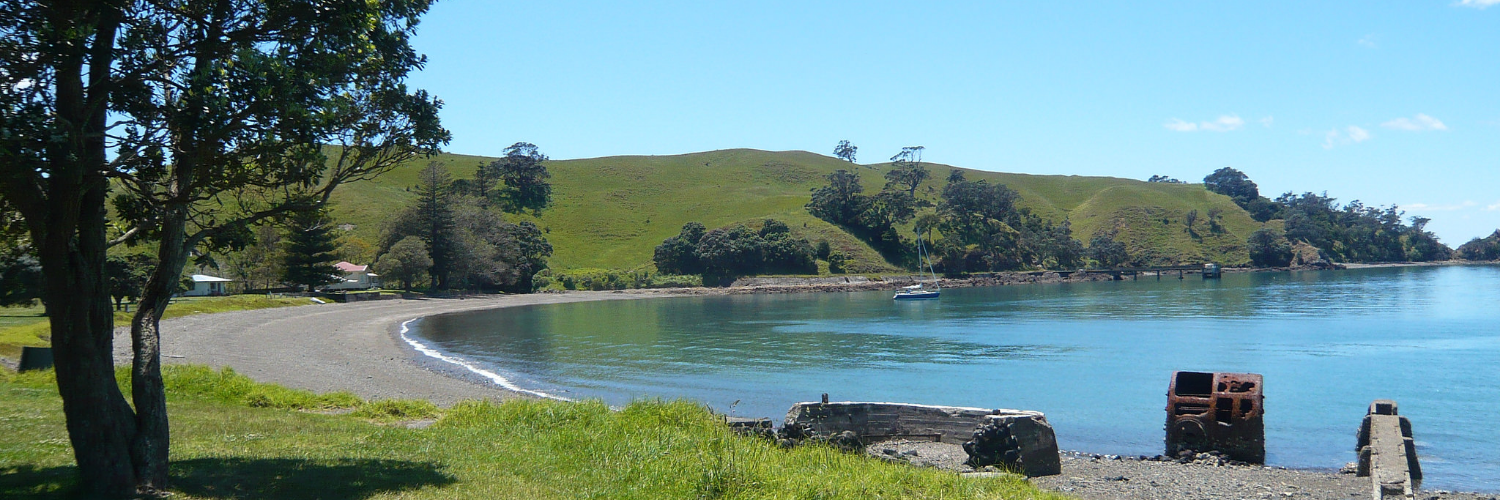 Home Bay Motutapu Island