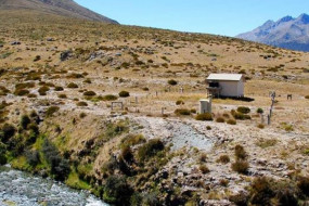 Taipo Hut, Mavora - Greenstone Walkway