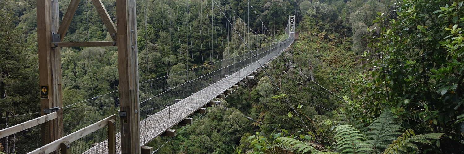 Pureora Forest Timber Trail