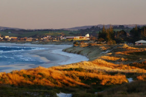 Ruakaka Beach (11)