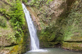Tangoio Falls