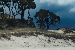 Pakiri Beach