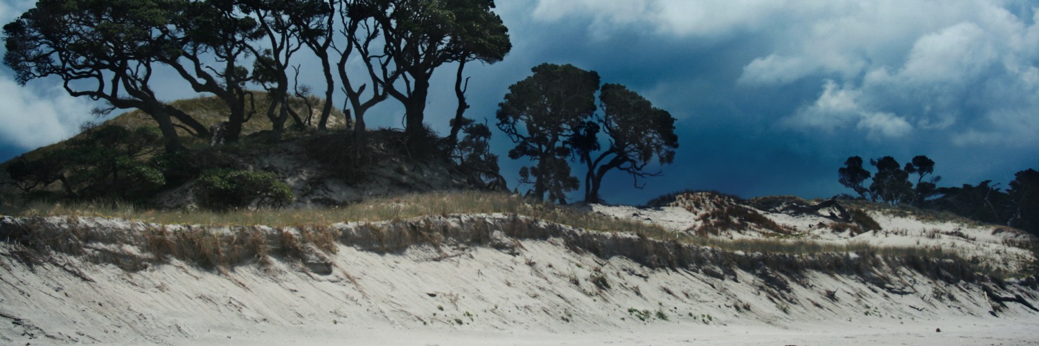 Pakiri Beach2
