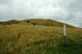 2010 Cable Bay Walkway