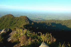 Walk up Mt Pirongia