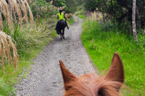 Horse riding on 42 Traverse