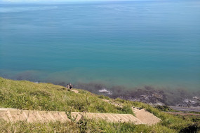 A steep decline on the Escarpment Track