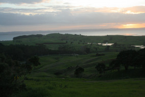 Puhoi Track