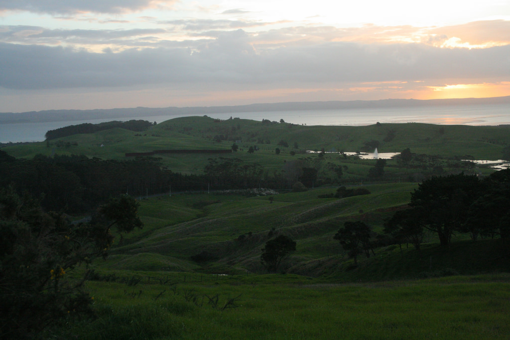 Puhoi Track